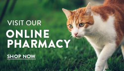 Online-Pharmacy